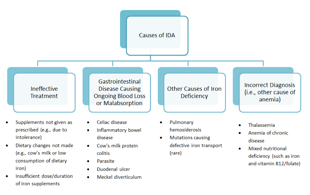 Causes of IDA
